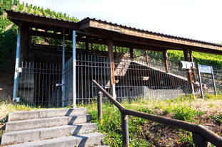 römische Kelteranlage Brauneberg