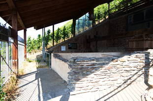 römische Kelteranlage Brauneberg