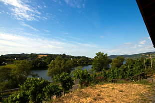römische Kelteranlage Brauneberg