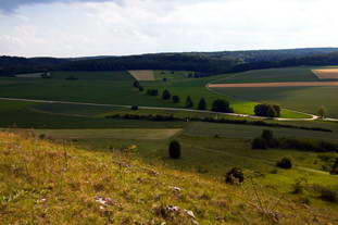 römische Villa Rustica Holheim