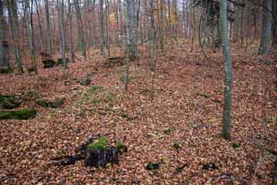 römische Villa Rustica Pforzheim Brötzingen
