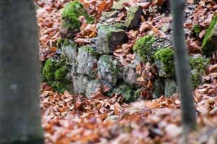 römische Villa Rustica Pforzheim Brötzingen