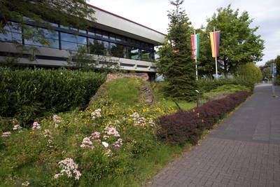 römische Wasserleitung in Bornheim