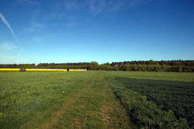 römischer Meilenstein Kleestadt