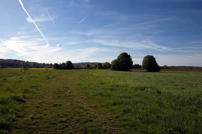 römischer Meilenstein Kleestadt