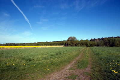 römischer Meilenstein Kleestadt