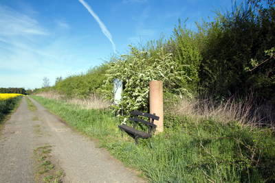 römischer Meilenstein Kleestadt