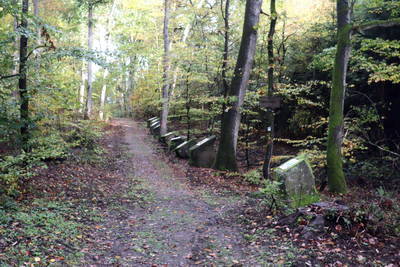römischer Steinbruch Hohe Buche bei Andernach