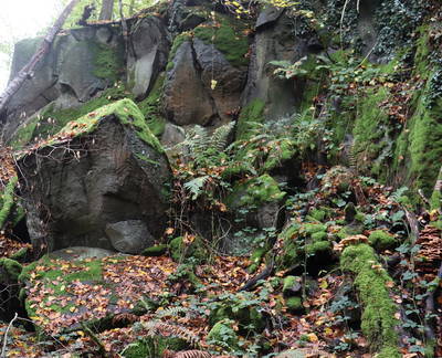 römischer Steinbruch Hohe Buche bei Andernach