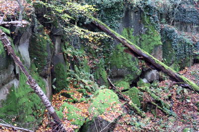 römischer Steinbruch Hohe Buche bei Andernach