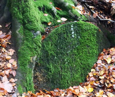 römischer Steinbruch Hohe Buche bei Andernach