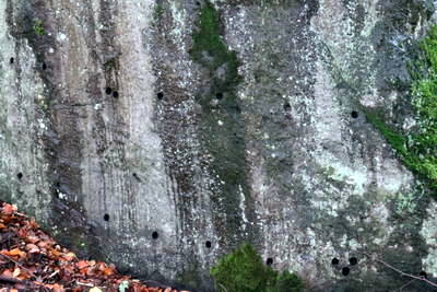 römischer Steinbruch Hohe Buche bei Andernach
