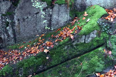 römischer Steinbruch Hohe Buche bei Andernach