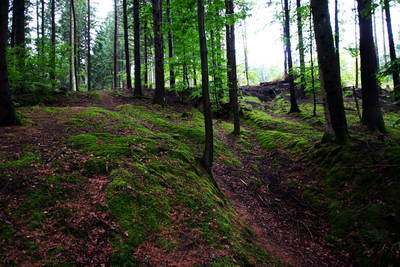 römischer Wachturm am Limes Hirschreute-Römerschanz