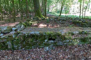 römischer Wachturm am Limes bei Hienheim 15-44