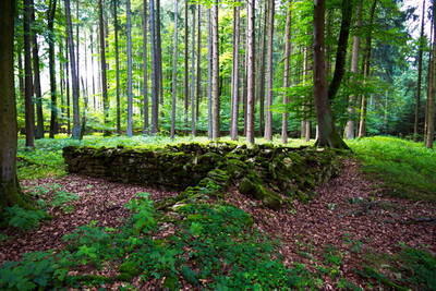 römischer Wachturm am Limes bei Raitenbuch