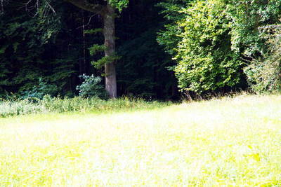 römischer Wachturm am Limes bei Raitenbuch